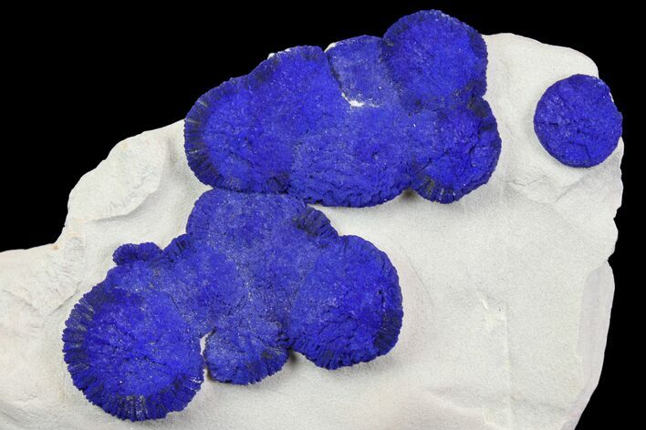 Blue Azurite Sun Cluster on Siltstone - Australia #142797